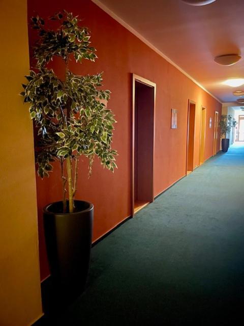 Hotel U Milina מראה חיצוני תמונה
